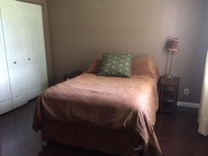 BINKS PRESERVE- - Residential Lease