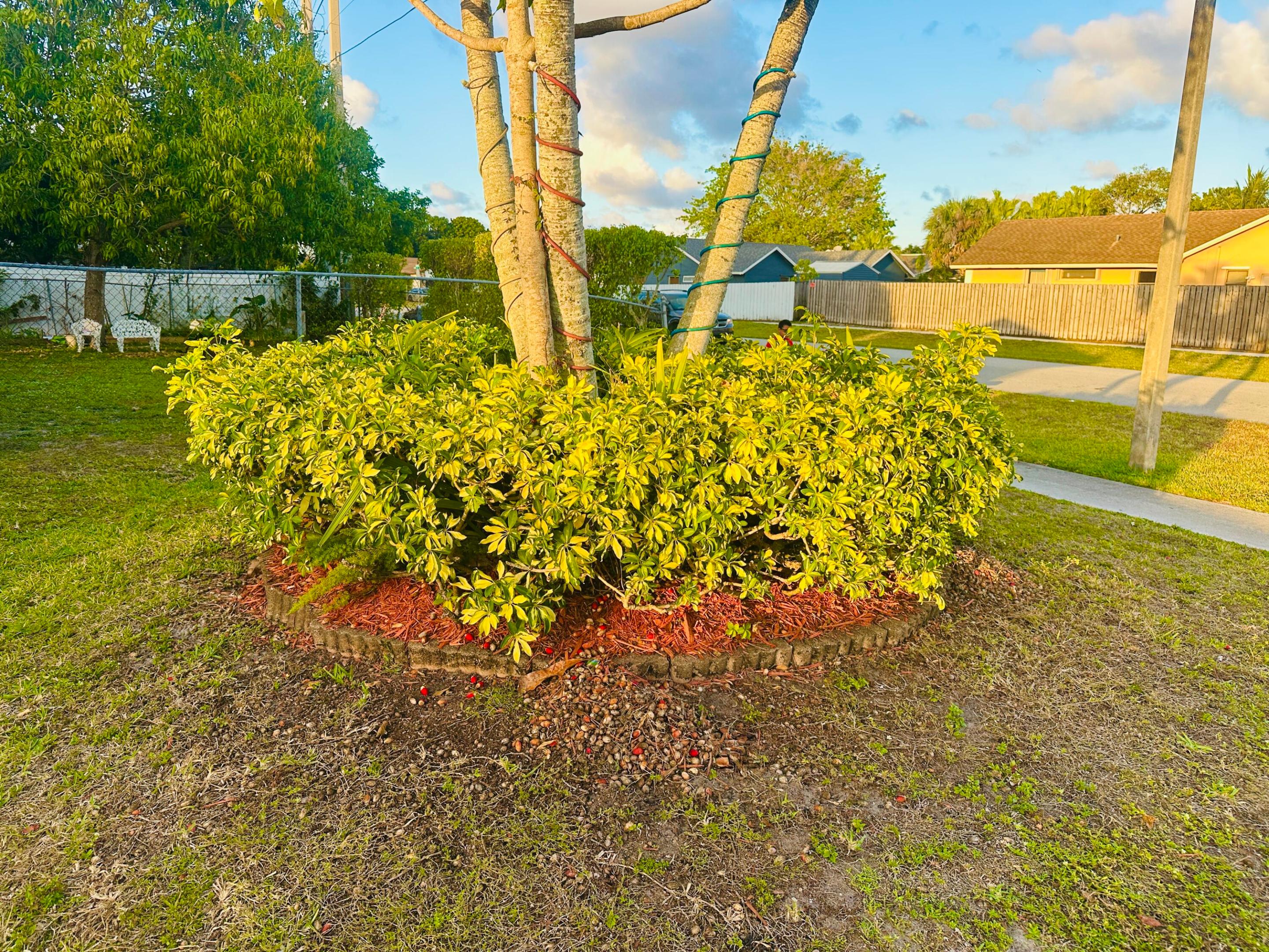 LAUDERDALE NORTH PARK SECTION 6 - Residential