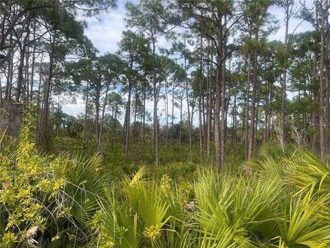 12144 Judson Avenue Port Charlotte FL 33953