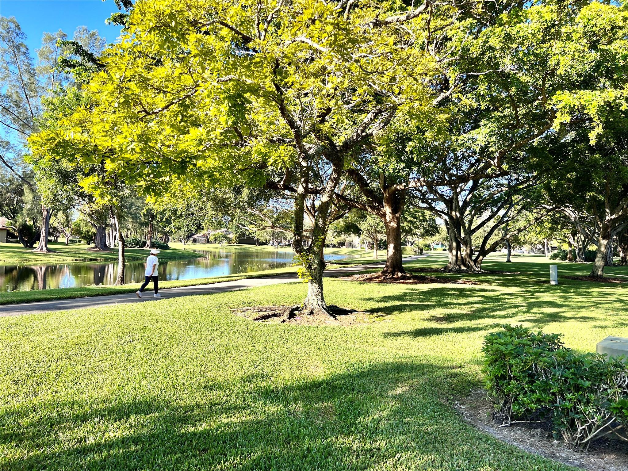 Timberwalk II - Residential