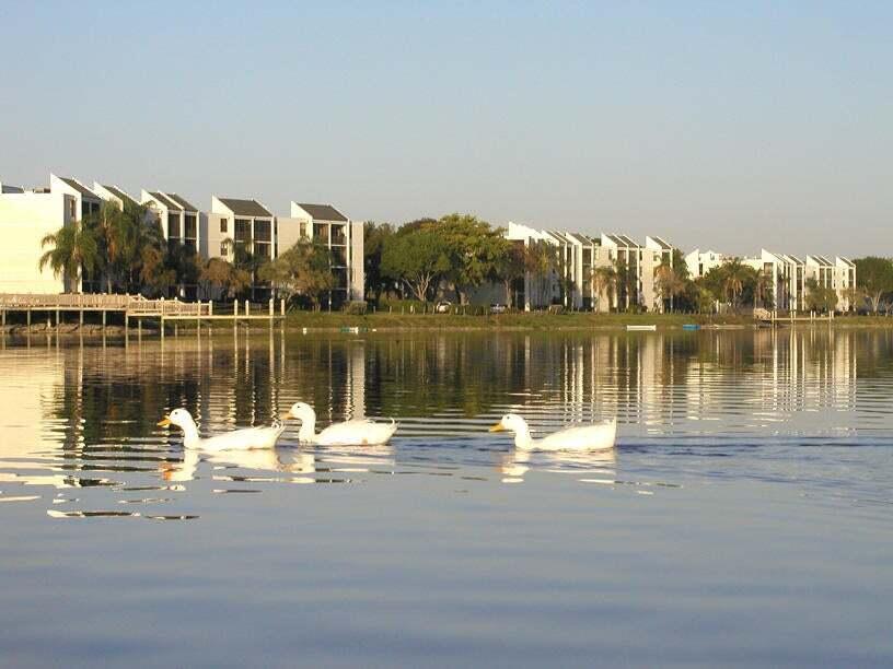 LAKE EMERALD - Residential
