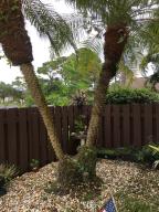 Pine Ridge at Martin Downs - Residential