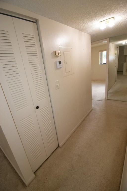 Ashmont - Residential