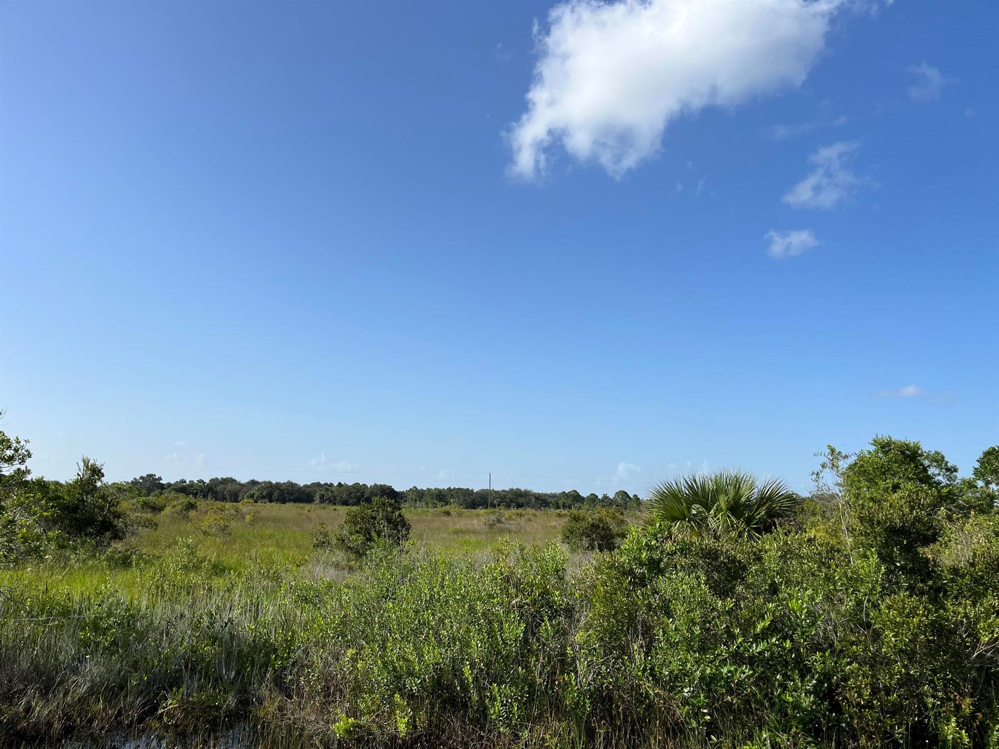 Build or bring your dream home and barn on this beautiful private 1.25 acre. The lot is mostly cleared with a culvert already in place. Fence post already in place on all four corners. Survey AVAILABLE. Fruit trees include Banana, Avocado and Mango trees for your own tropical oasis. Easy access to power with power poles located on the street. There is so much to enjoy in Okeechobee County. The Kissimmee River Preserve State Park West of this area as well is the Kissimmee River. The Kissimmee River flows into Lake Okeechobee and is well known for some of the best fishing. whether you like Fishing, hunting, mudding agriculture or just privacy here you have it all.