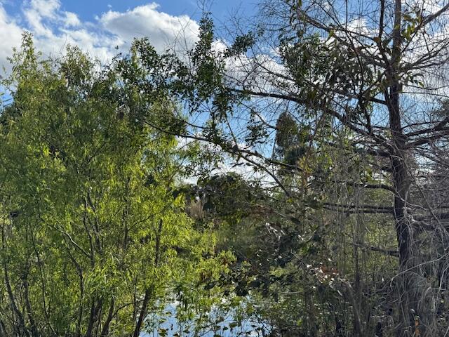 3852 161st Terrace N