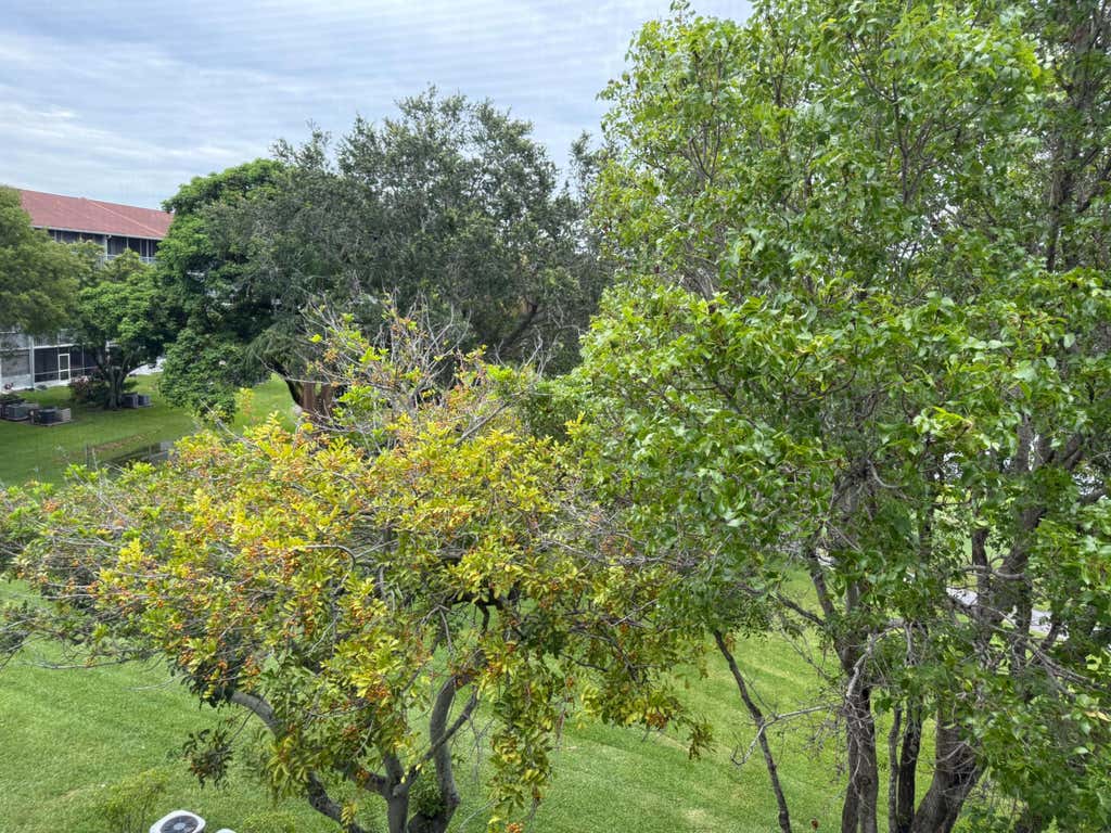 Photo of 301 SW 135th Avenue #404c, Pembroke Pines, FL 33027 (MLS # B26050607)