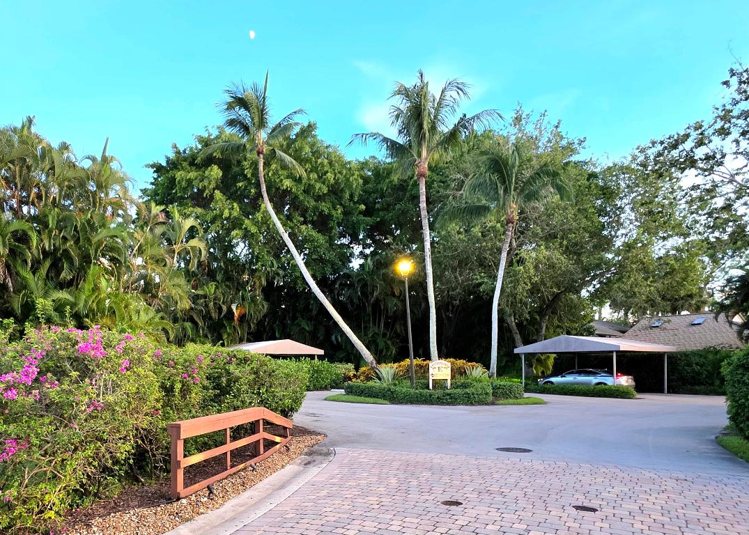 6957 Rain Forest Drive