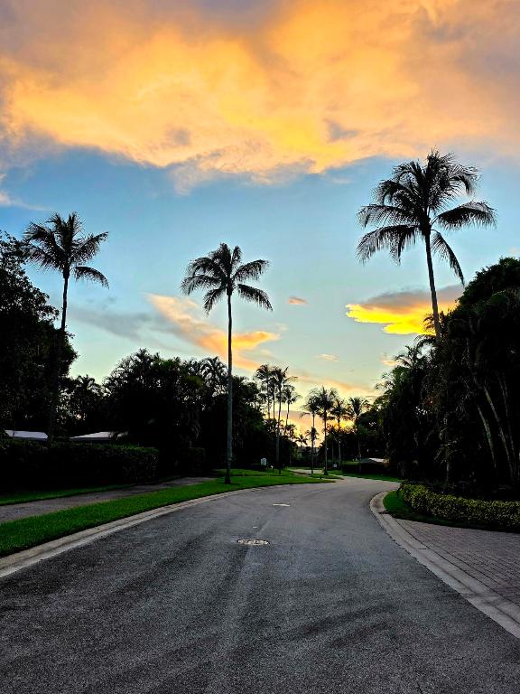 6957 Rain Forest Drive