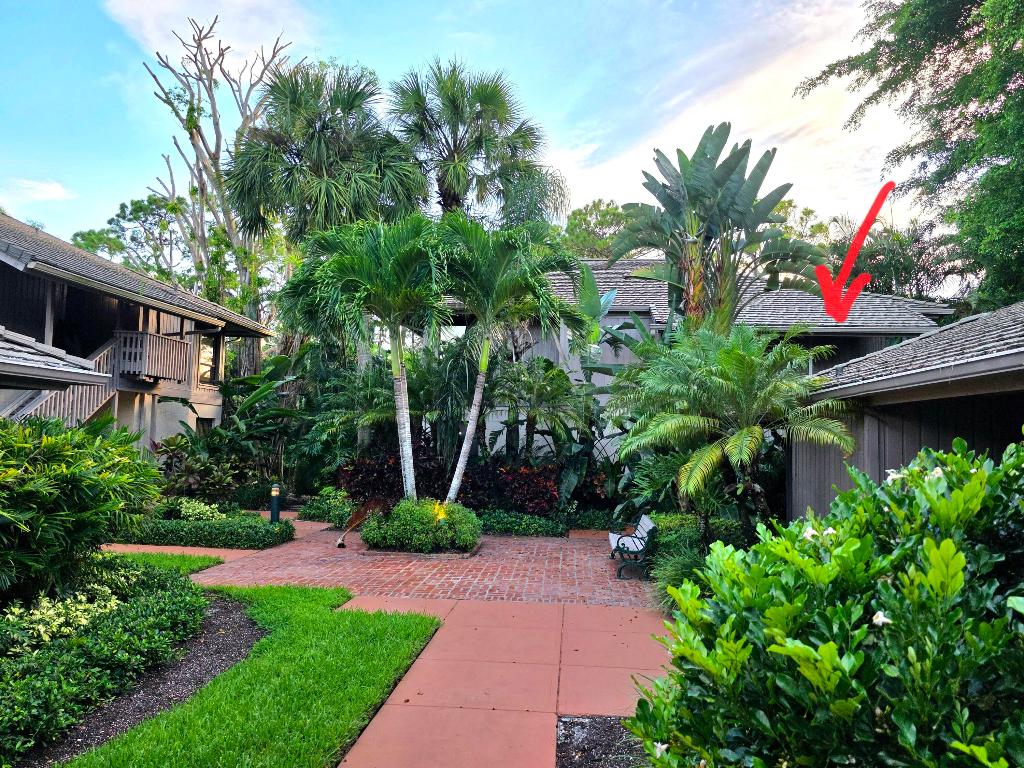 6957 Rain Forest Drive