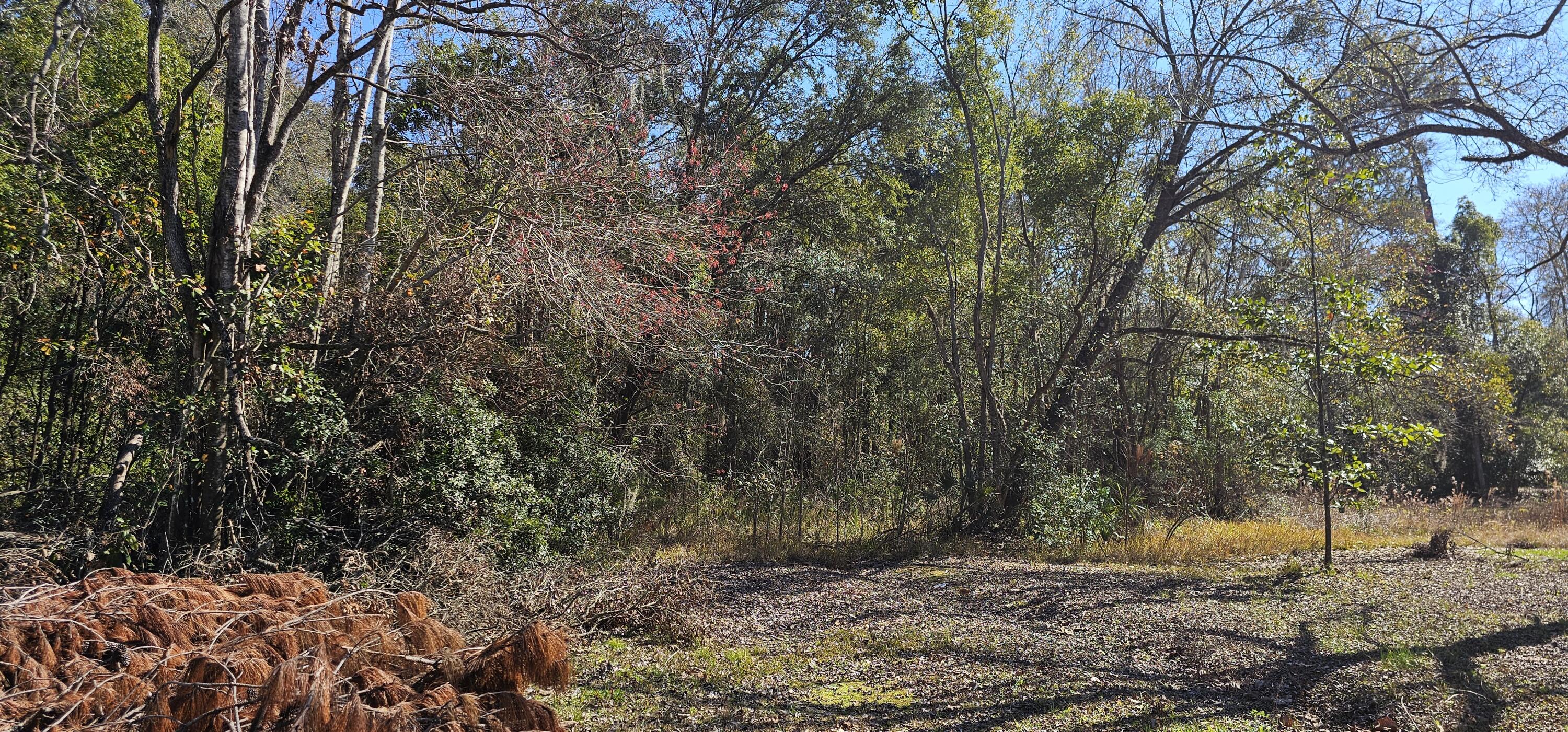 SIMMONS S/D PTS SIBBALD & - Residential