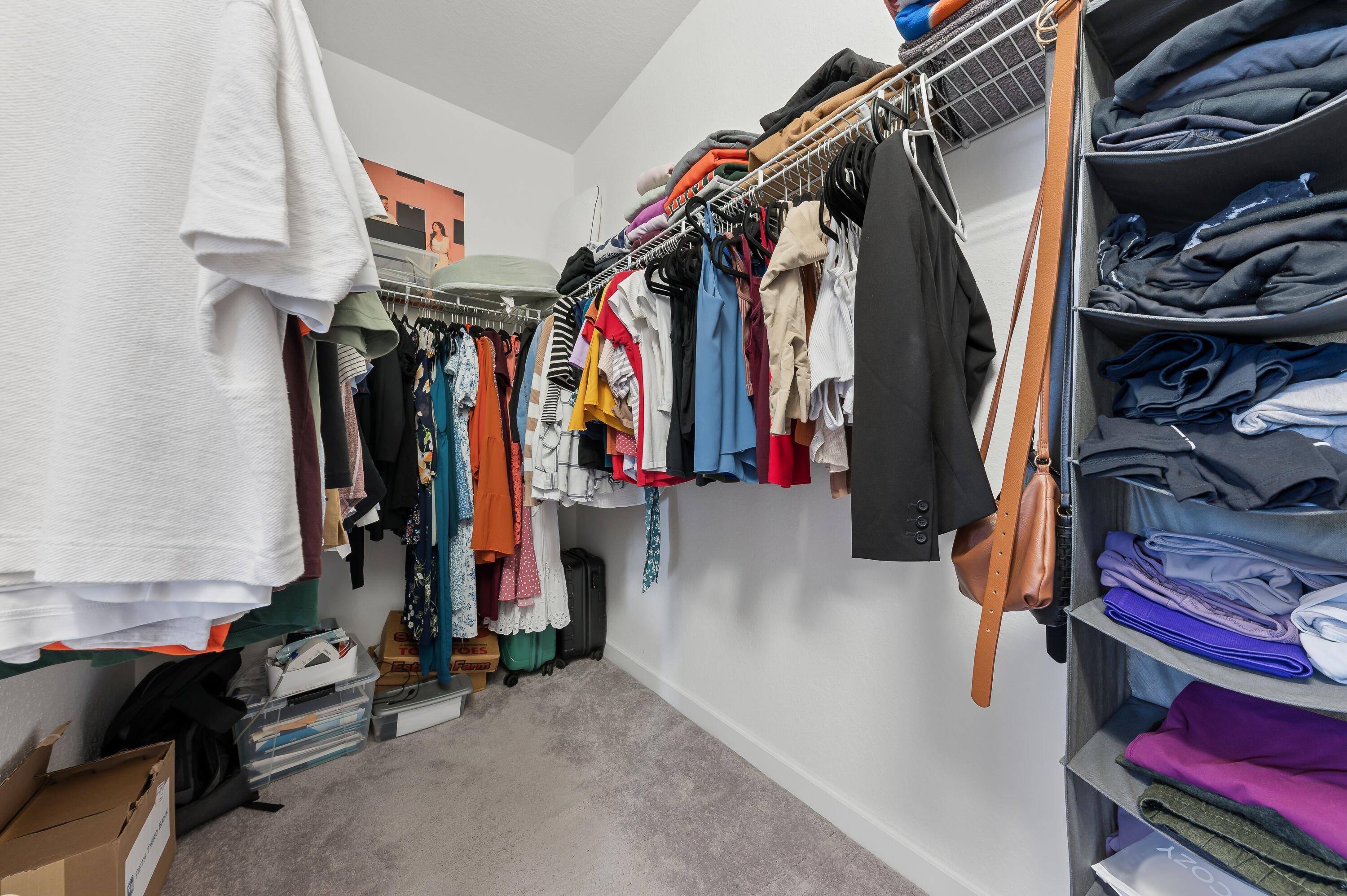 TROTTERS CHASE - Residential