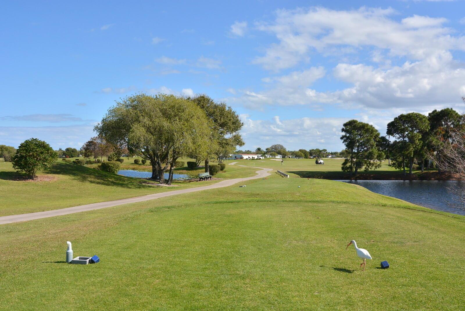 EAGLE'S RETREAT AT SAVANN - Residential