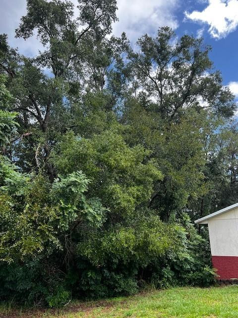 Silver Springs Shores Unit 16 - Land