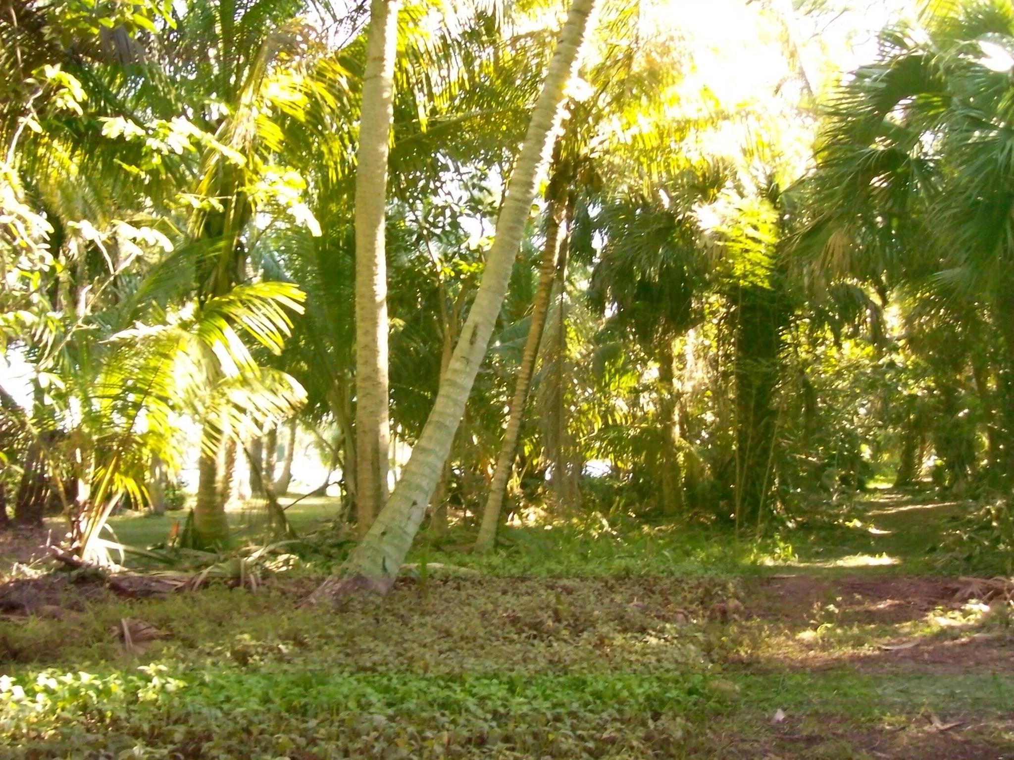 HOBE SOUND - Land