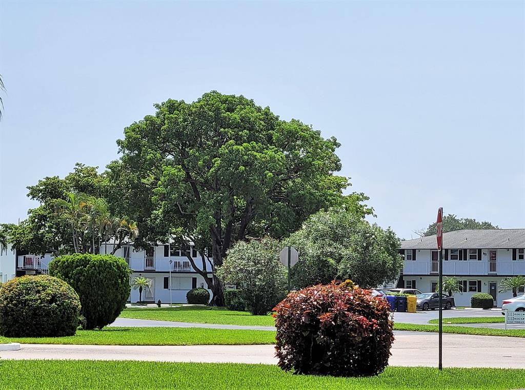 Photo of 1113 Lake Terrace #110, Boynton Beach, FL 33426 (MLS # R10808655)