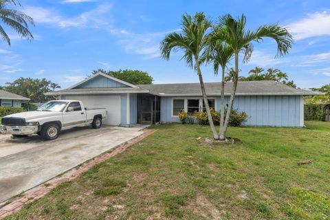 12133 Big Cone Court Wellington FL 33414