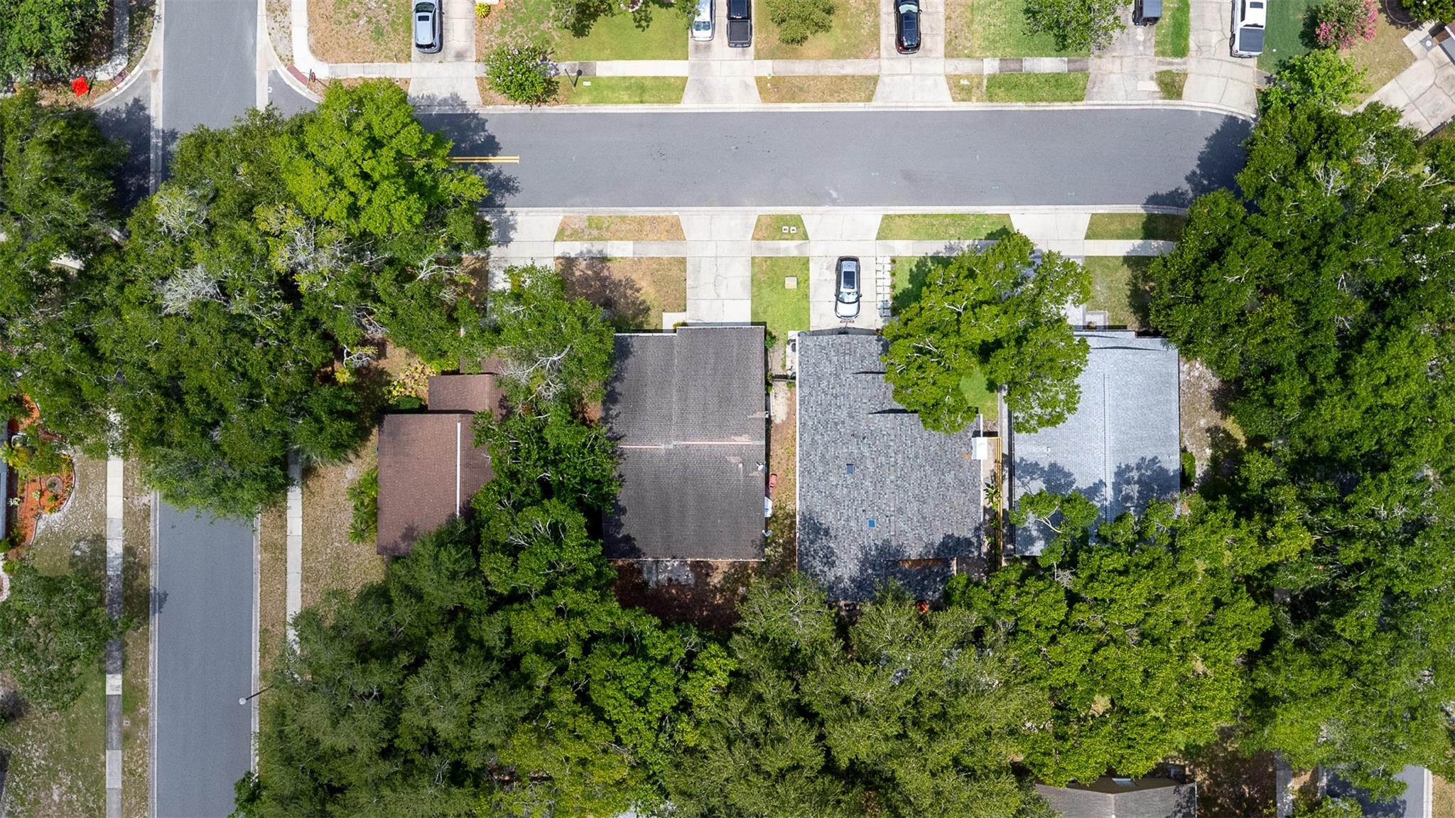 Country Lane - Residential