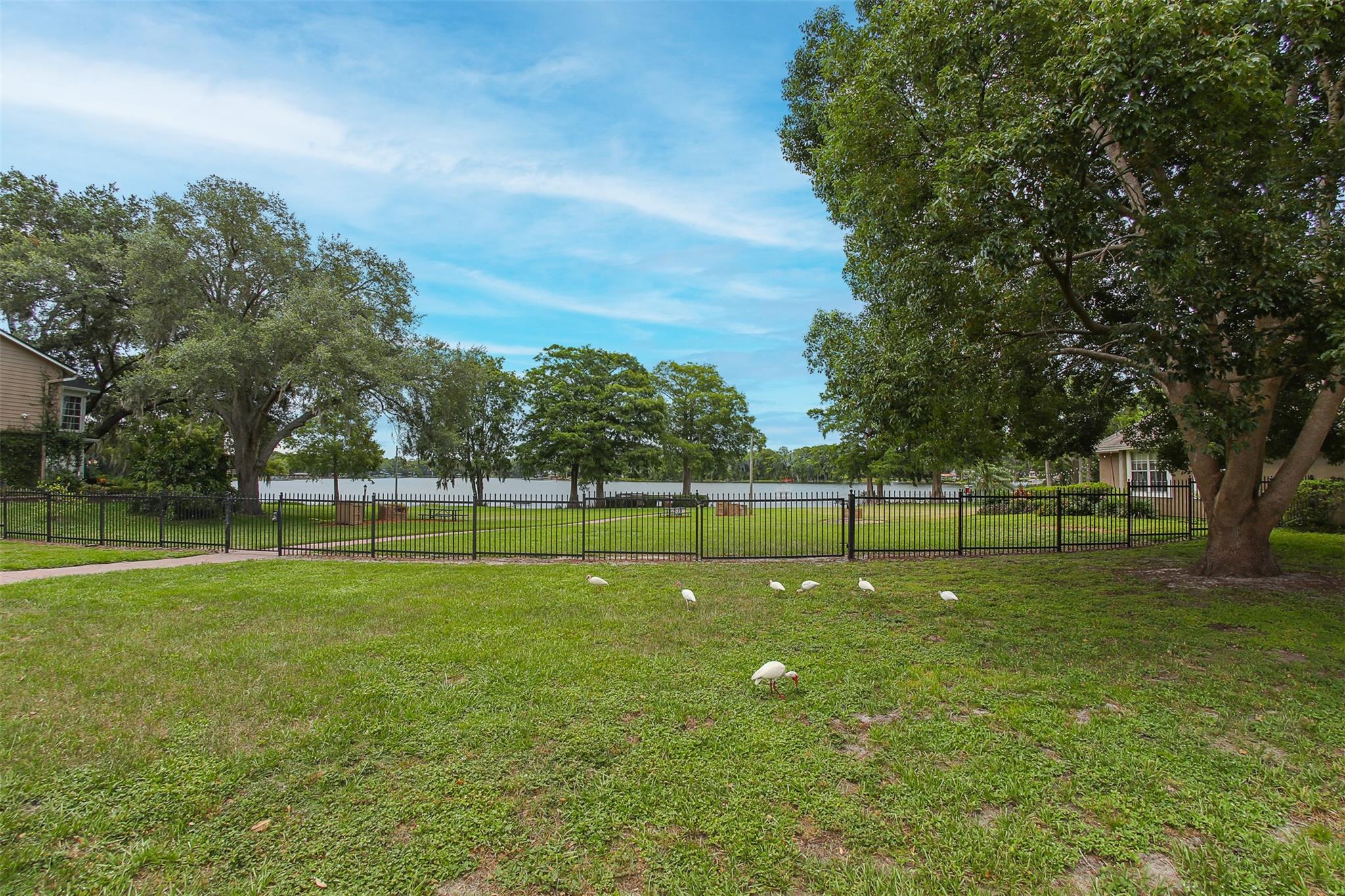 Country Lane - Residential