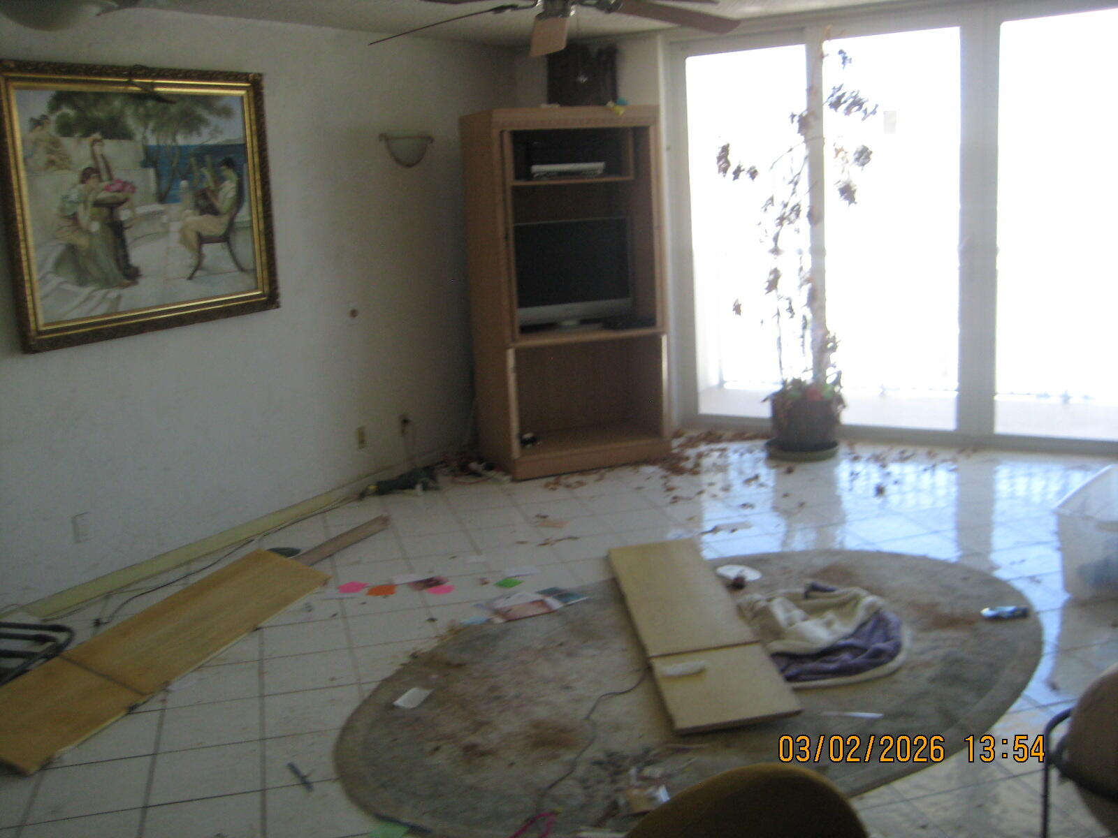 1147 Hillsboro Mile 1005