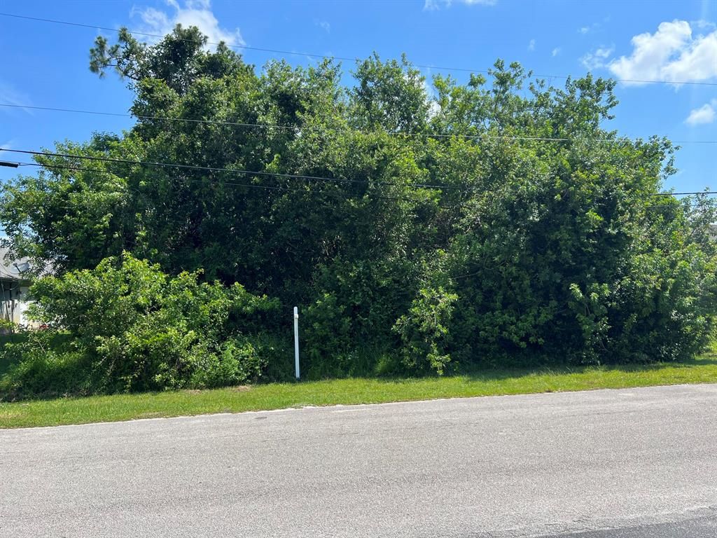 Photo of 132 SW Dalton Circle, Port St Lucie, FL 34953 (MLS # R10889489)