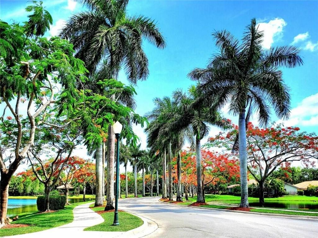 SUNSET SPRINGS - Residential