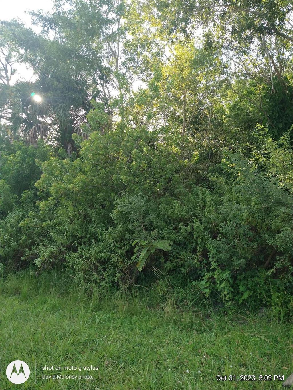 Photo of 1982 SW Guernsey Street SW, Port Saint Lucie, FL 34953 (MLS # R10932210)