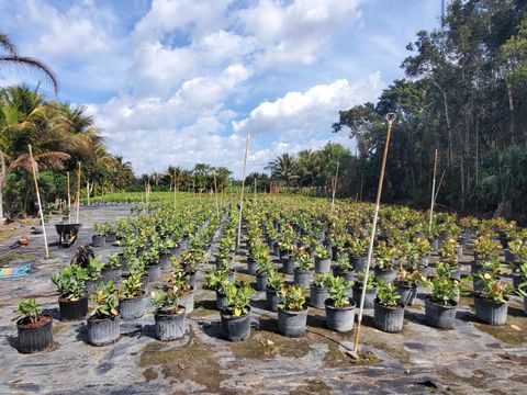 10655 61 Street S Wellington FL 33449