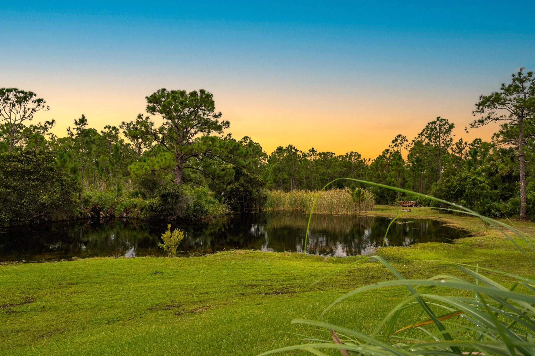 FELLSMERE FARMS CO S/D OF - Residential