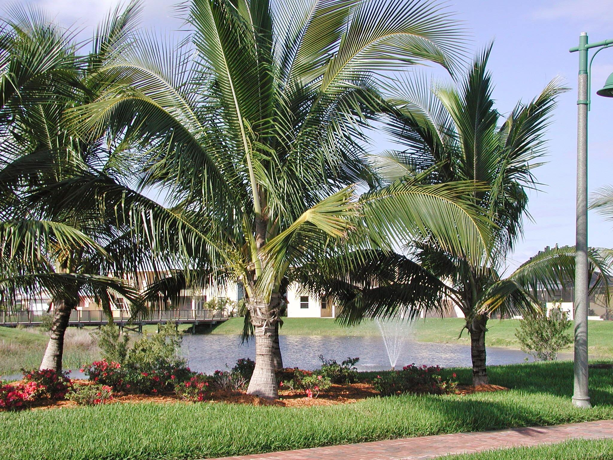 BRIDGEPOINTE SUBDIVISION - Residential Lease