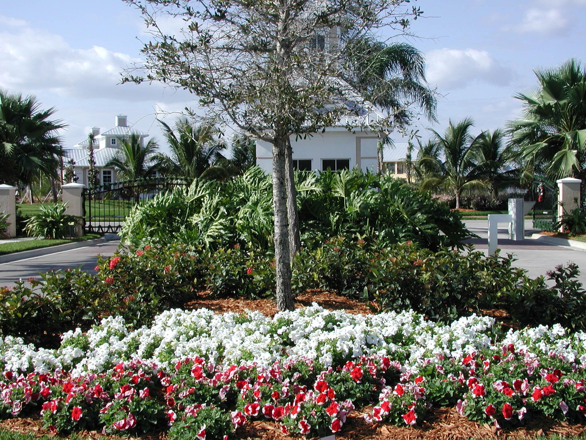 BRIDGEPOINTE SUBDIVISION - Residential Lease