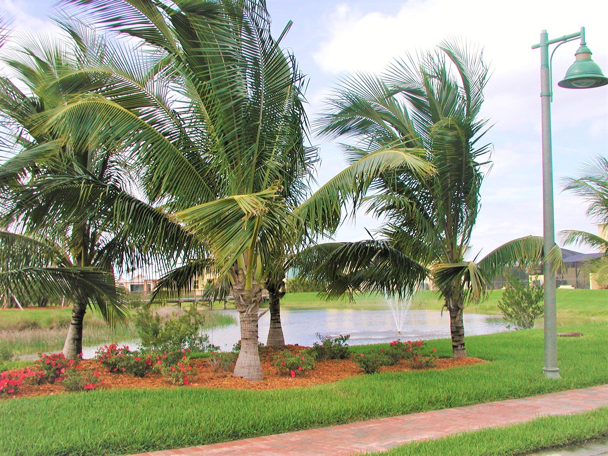 BRIDGEPOINTE SUBDIVISION - Residential Lease