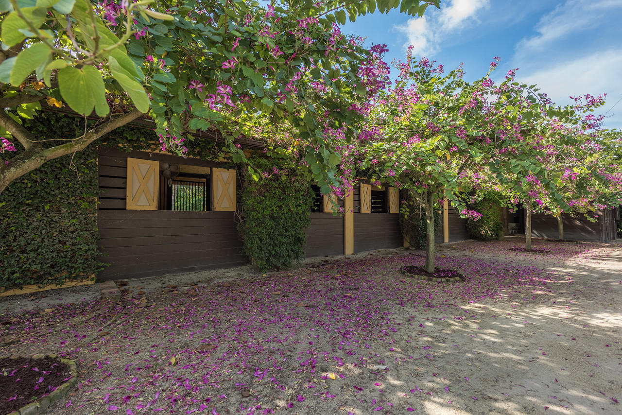 SADDLE TRAIL PARK OF WELL - Residential