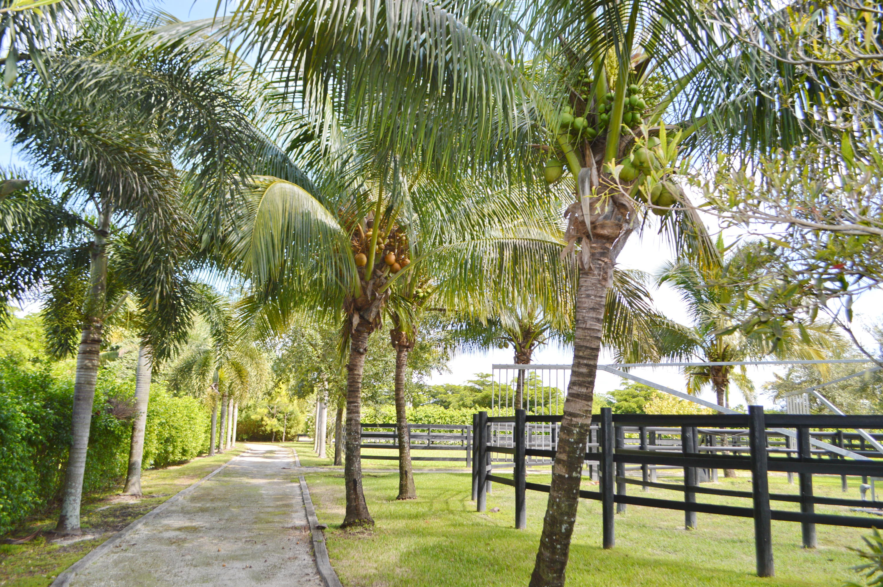 SADDLE TRAIL PARK OF WELL - Residential