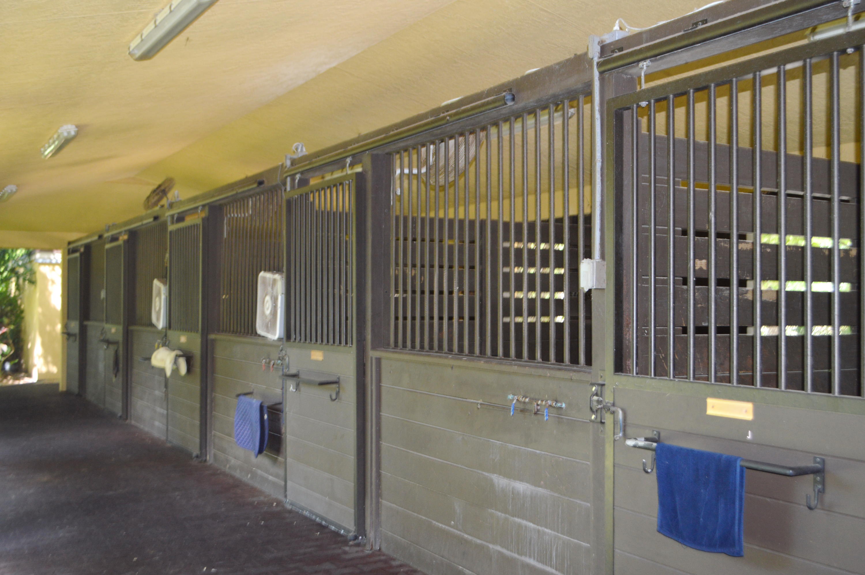 SADDLE TRAIL PARK OF WELL - Residential