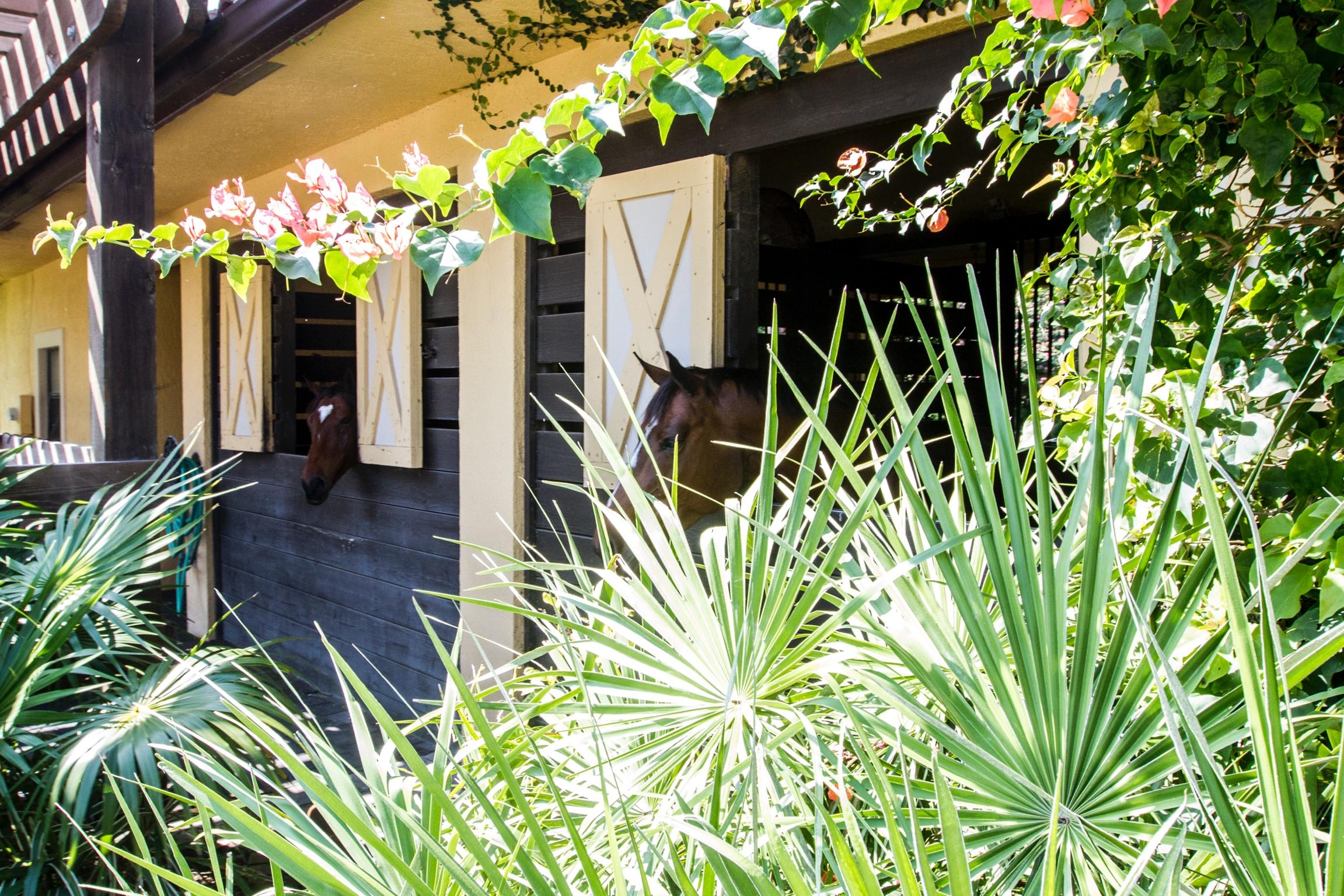 SADDLE TRAIL PARK OF WELL - Residential