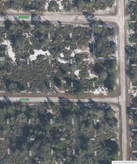 100 Tryon Avenue NW Lake Placid FL 33852