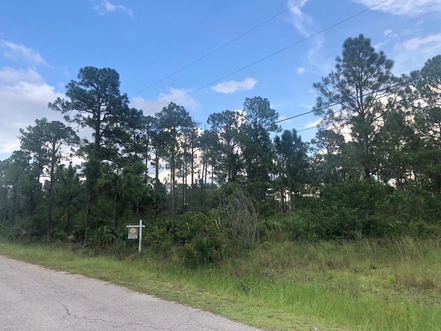 Build your dream home on this spacious 0.50-acre residential lot in the growing community of Lehigh Acres. Located in a peaceful neighborhood with easy access to main roads, schools, shopping, dining, and parks. This oversized parcel offers plenty of room for a custom home, pool, and outdoor living area. No HOA—ideal for homeowners or investors alike. Enjoy the privacy and flexibility while still being conveniently located near Fort Myers, Southwest Florida International Airport, and Gulf Coast beaches. Excellent opportunity to own land in one of Southwest Florida’s fastest-growing areas.
