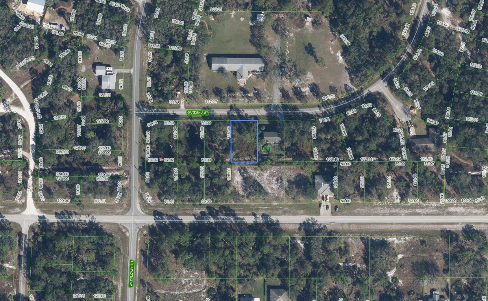 Beautiful lot with Utilities. Leisure Lakes is a growing neighborhood with beautiful nature and lakes in near proximity. This lot is not too far down the street from Lake Carrie with boat ramp nearby. This area has access into Lake June and Lake Henry. You can enjoy hiking on available trails and boating on lakes nearby. NO HOA fees to worry about. Close to restaurants, gas station, grocery stores, winery, distillery, and much more. This lot is locate in the mid point of Lake Placid and Sebring. Lots are selling fast and prices are on the rise, so don't miss out and grab this one while you still can at this very low price.