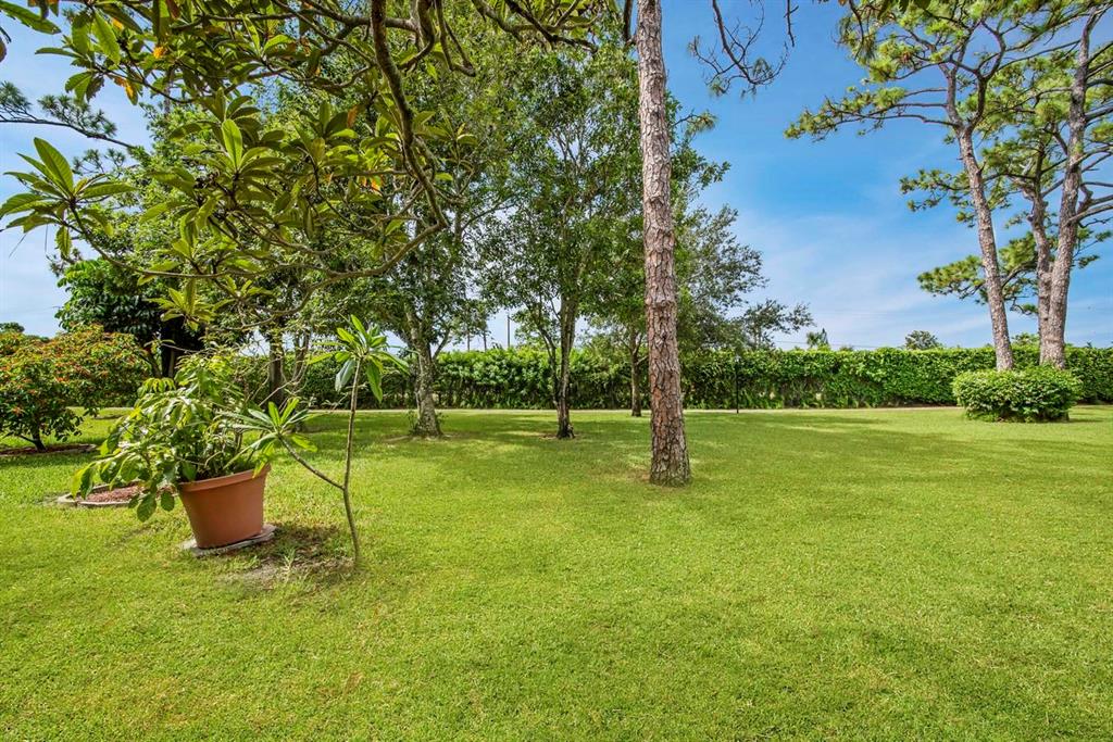 COVERED BRIDGE - Residential