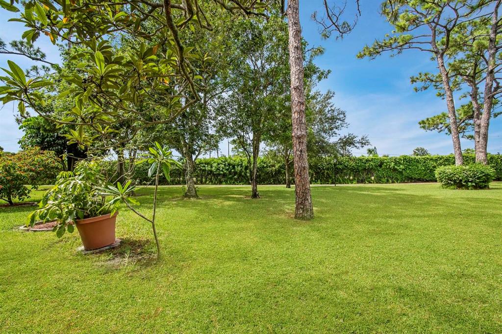 COVERED BRIDGE - Residential
