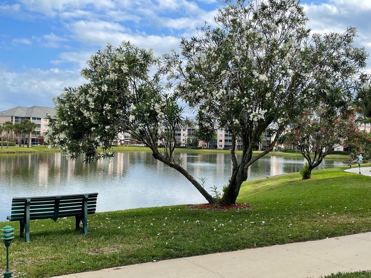 Jupiter Bay - Residential