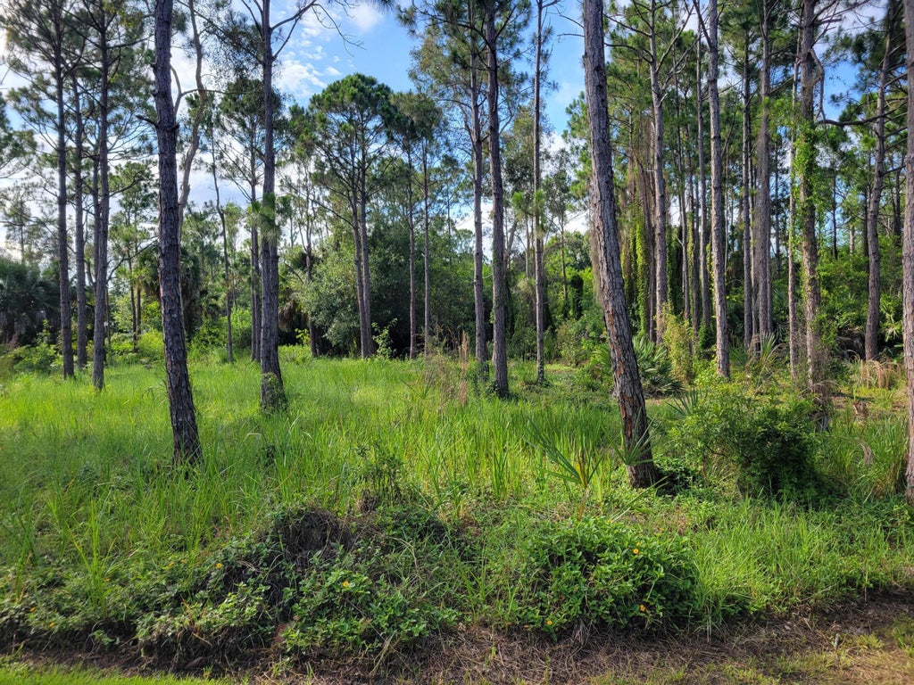 Photo of 0 Shanas Trail, Port Saint Lucie, FL 34952 (MLS # B26041104)