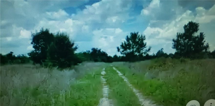 GREAT GEORGIA PROPERTY 1.59 ACRES LOT (LOT D-6) LOCATED ON PALM CIRCLE  THE  SUBDIVISION IS   ROYAL PALMS SOUTH SUBDIVISION    MOTIVATED SELLER  OWNER / AGENT LOCATED IN HAWKINSVILLE   GA 31036   NO UTILLITES ON SITE   NO PAVED ACCESS ROADS DIRT ROAD ONLY   BUYER TO DO OWN DUE DELIGENCE ON PROPERTY  NORTH ON I-75 HIGHWAY IN GEORGIA  EXIT # 102  HAWKINSVILLE and CORDELE   STATE ROUTE  257 TO HARRELL ROAD TO PALM CIRCLE  HAWKINSVILLE   CLASS R3 RESIDENTIAL 
 BUYER TO DO OWN RESEARCH