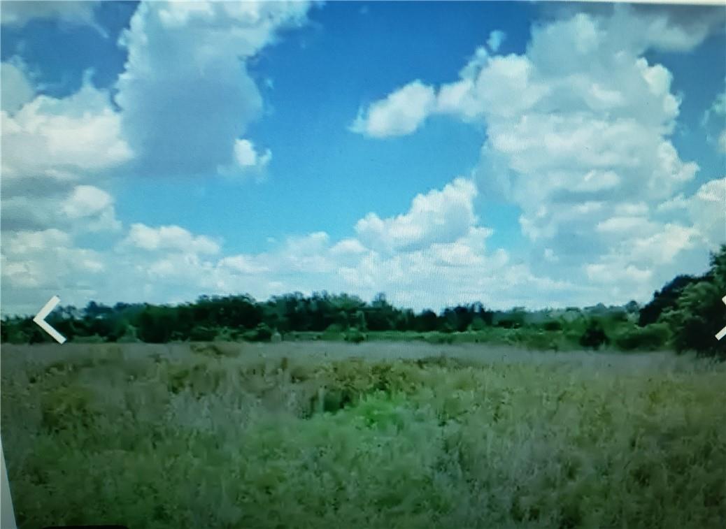 LOT D6 PALM CIRCLE