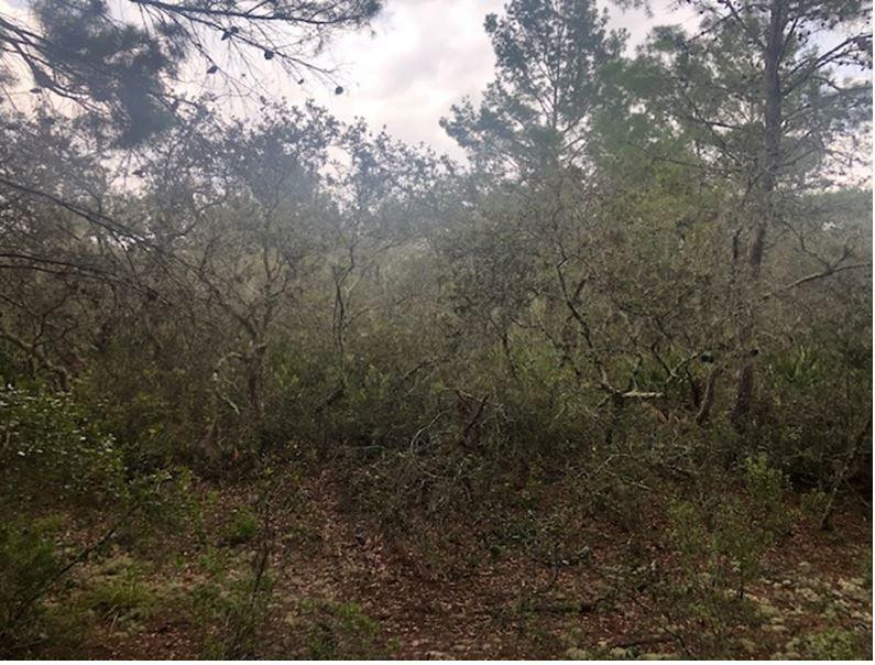 cle43 Central Lake Estates - Land