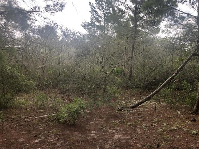 cle43 Central Lake Estates - Land