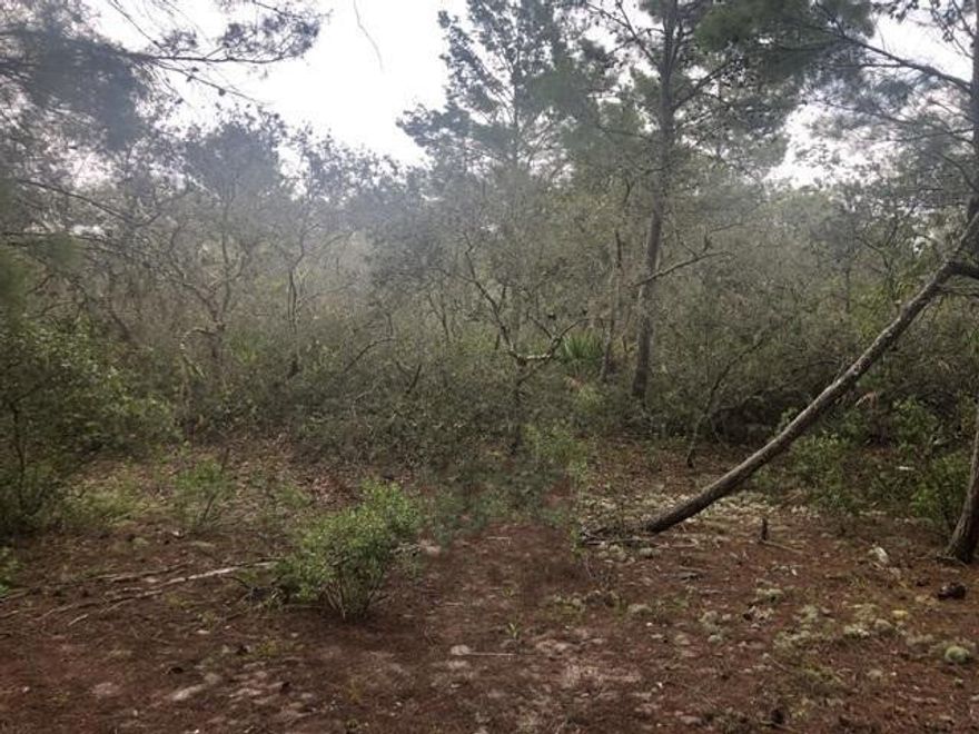 Over an acre in Central Lake Estates with only $1,500 down. This wooded lot is a must see! Recreational, hunting and camping property