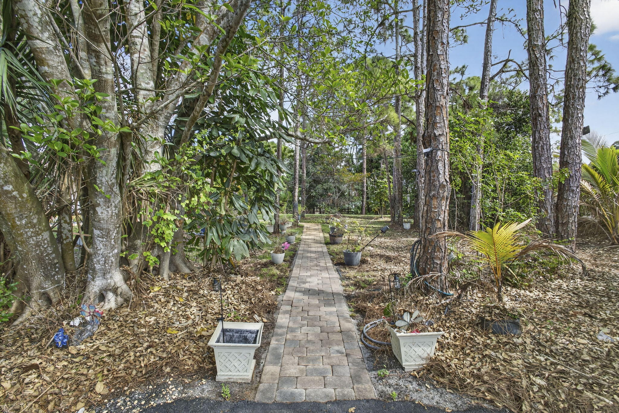 The Acreage - Residential