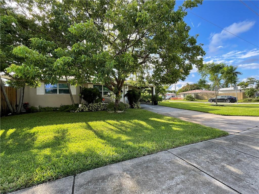 North Andrews Gardens 30- - Residential