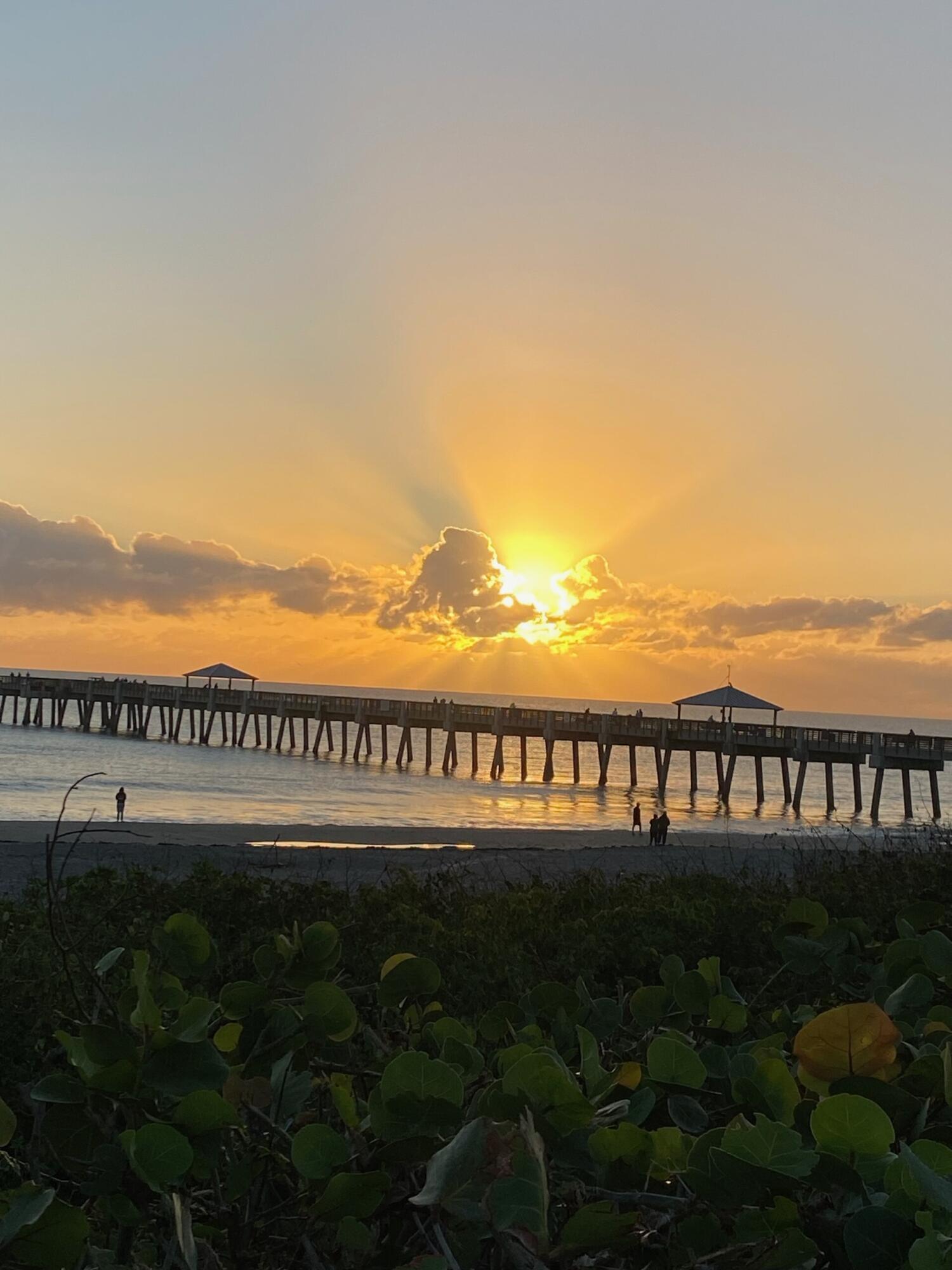 SHORE CLUB - Residential